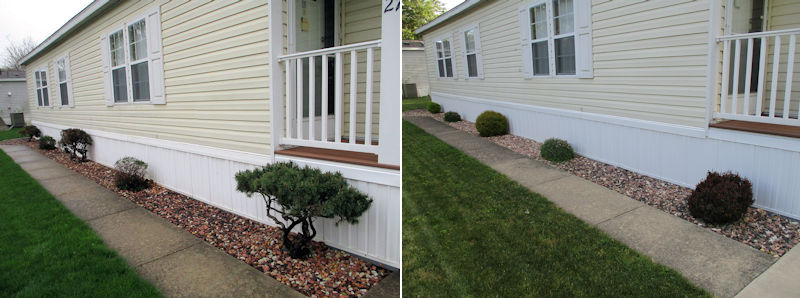 shrubs2019-2022.jpg