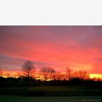 sunrise.jpg (56 kilobytes)